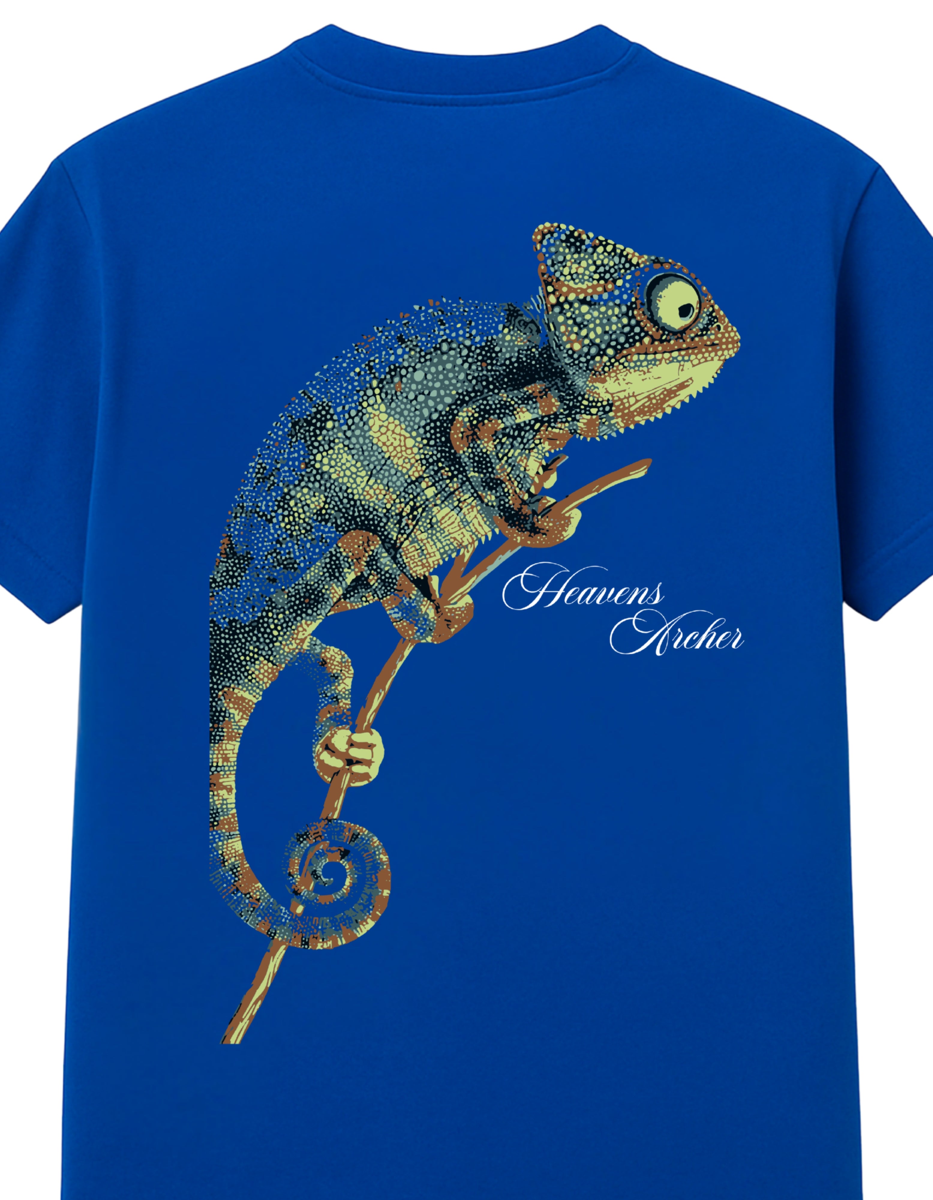 Heaven's Archer T-SHIRT